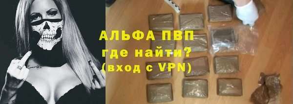 СК Ельня