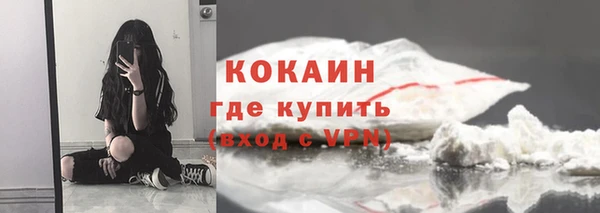 СК Пересвет