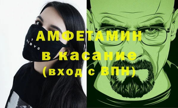 СК Пересвет