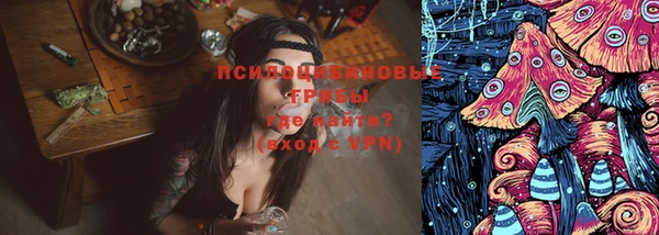 СК Пересвет
