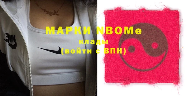 СК Пересвет