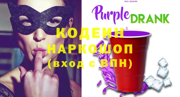 СК Ельня