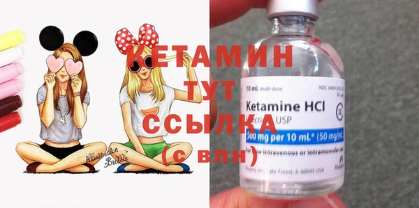 СК Ельня